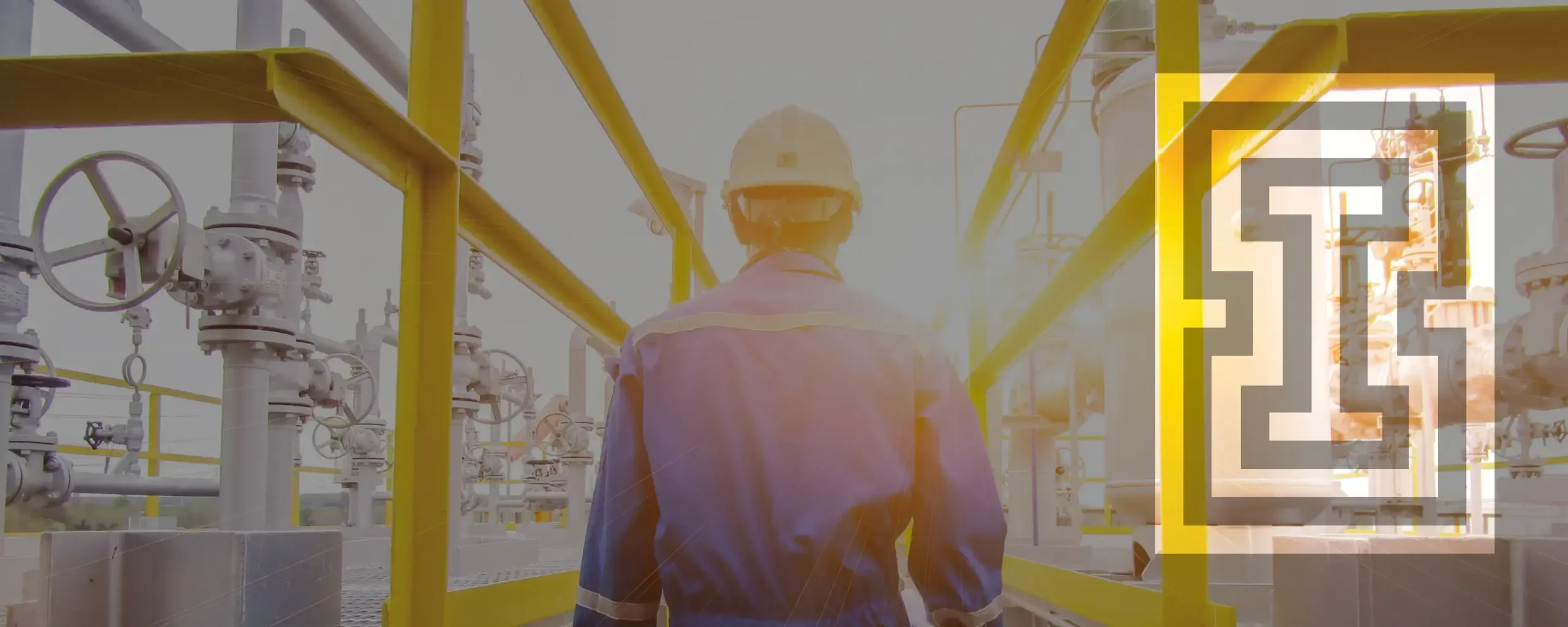 Chemical and petrochemical processing plant