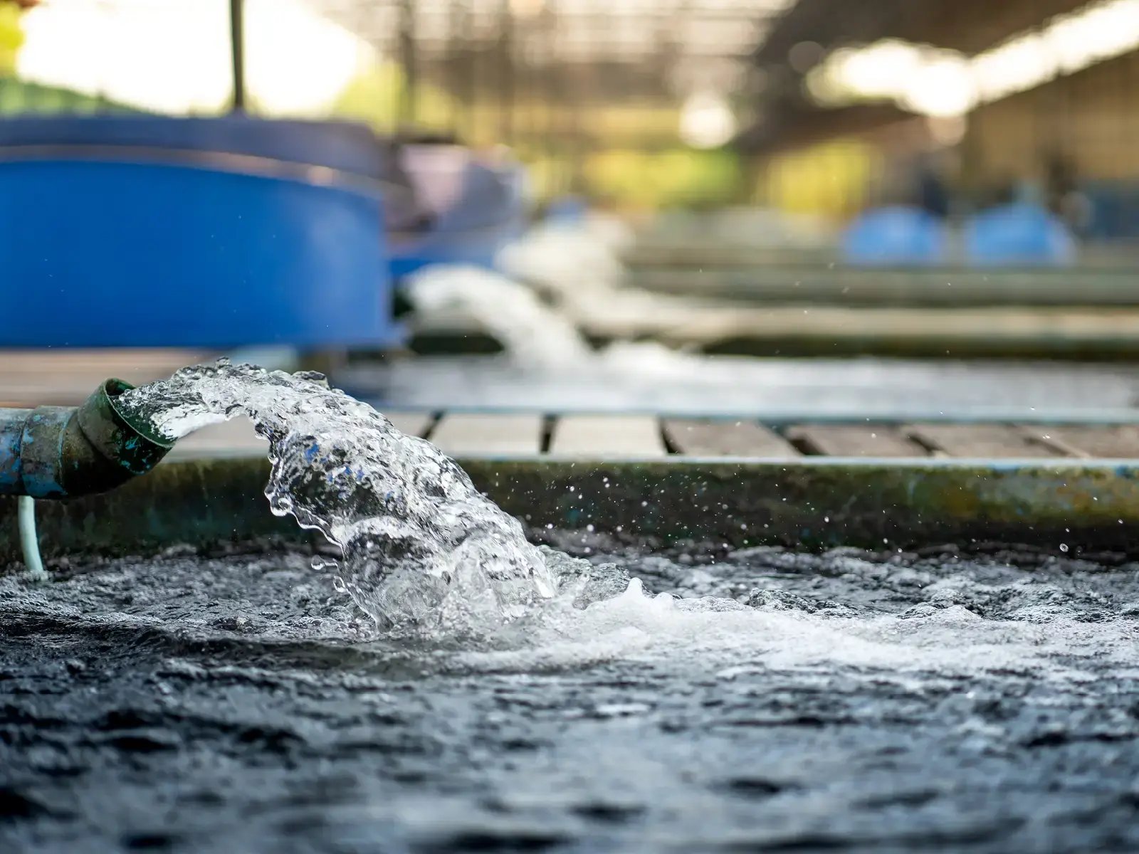Wastewater treatment plant