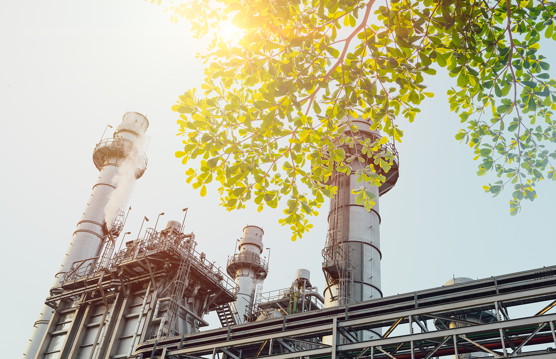 What is Low-Carbon Capture Energy Production?